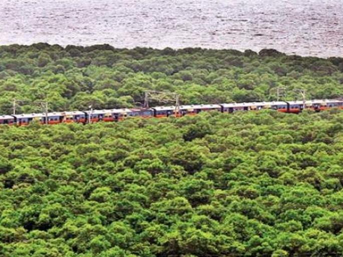 Front pulling to remove the barrel of the kantavana | कांदळवनाचा अडसर दूर करण्यासाठी मोर्चेबांधणी Front pulling to remove the barrel of the kantavana | कांदळवनाचा अडसर दूर करण्यासाठी मोर्चेबांधणी
