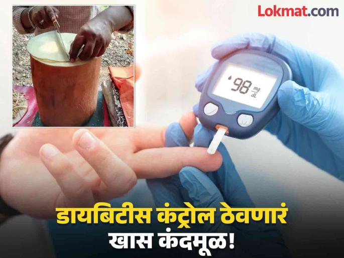 This kandmool control high blood sugar, bad-cholesterol | ब्लड शुगर कंट्रोल करण्यास फायदेशीर असं खास फळ, फायदे वाचाल तर रोज खाल! This kandmool control high blood sugar, bad-cholesterol | ब्लड शुगर कंट्रोल करण्यास फायदेशीर असं खास फळ, फायदे वाचाल तर रोज खाल!