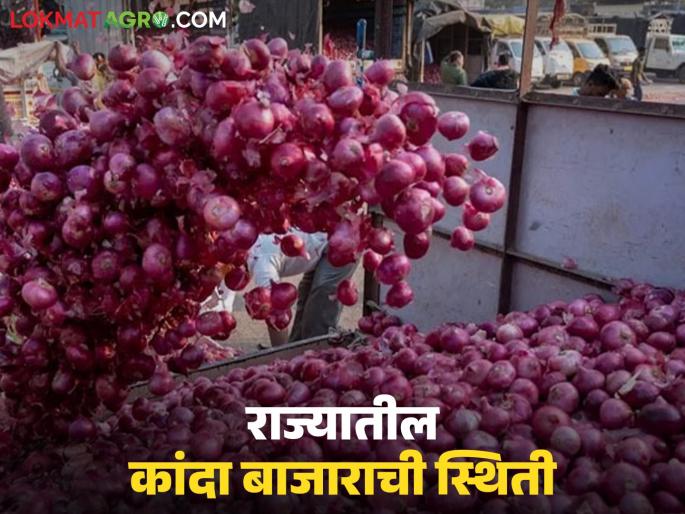 Latest News kanda Market Prices fell by Rs 200 in two days in Solapur, read district-wise onion market | Kanda Market : सोलापूरमध्ये दोन दिवसांत 200 रुपयांनी दर घसरले, वाचा जिल्हानिहाय कांदा मार्केट Latest News kanda Market Prices fell by Rs 200 in two days in Solapur, read district-wise onion market | Kanda Market : सोलापूरमध्ये दोन दिवसांत 200 रुपयांनी दर घसरले, वाचा जिल्हानिहाय कांदा मार्केट