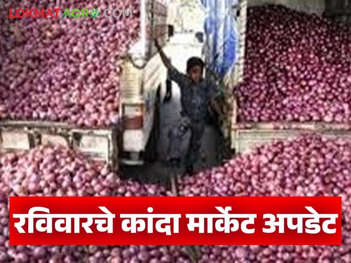 Latest News Kanda Market see the onion prices in Ahilyanagar, Pune, Nagpur districts, read in detail | Kanda Bajarbhav : अहिल्यानगर, पुणे, नागपूर जिल्ह्यातील कांद्याचे दर पाहुयात, वाचा सविस्तर Latest News Kanda Market see the onion prices in Ahilyanagar, Pune, Nagpur districts, read in detail | Kanda Bajarbhav : अहिल्यानगर, पुणे, नागपूर जिल्ह्यातील कांद्याचे दर पाहुयात, वाचा सविस्तर