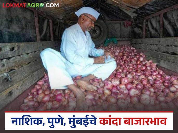 Latest News kanda Market Onion market down in Nashik district, recovered in Pune Mumbai market | Kanda Market : नाशिक जिल्ह्यात घसरले, पुणे, मुंबईत सावरले, कांद्याला काय मिळतोय दर?  Latest News kanda Market Onion market down in Nashik district, recovered in Pune Mumbai market | Kanda Market : नाशिक जिल्ह्यात घसरले, पुणे, मुंबईत सावरले, कांद्याला काय मिळतोय दर?