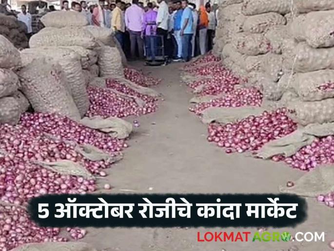 Latest news Kanda Market see local onion market prices in Pune read full onion market of October 5 | पुणे बाजारात लोकल कांद्याला काय दर मिळतोय, वाचा 5 ऑक्टोबरचे कांदा मार्केट 