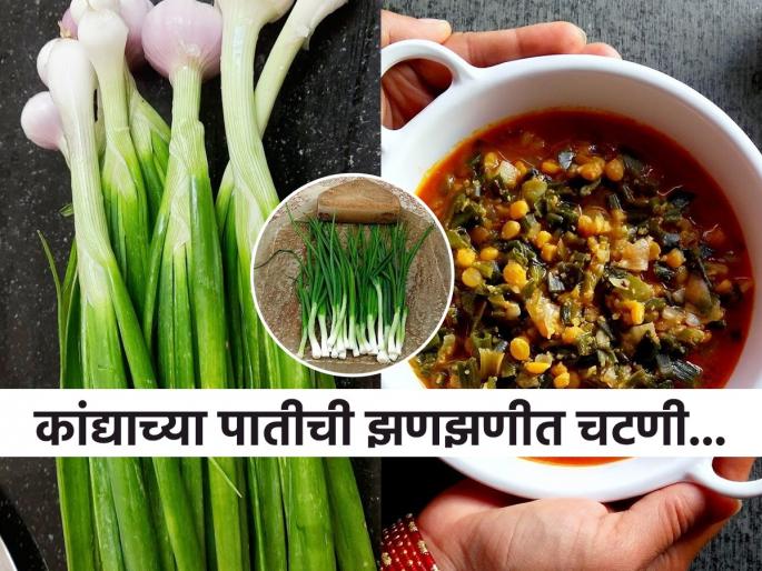 Kandyachya Patichi Chutney Maharashtrian Style Spring Onion Chutney Kandyachya Patichi Chutney Recipe | गरमागरम भाकरी आणि कांद्याच्या पातीची चमचमीत चटणी! अस्सल गावरान पारंपरिक पदार्थ - बेत होईल खास...