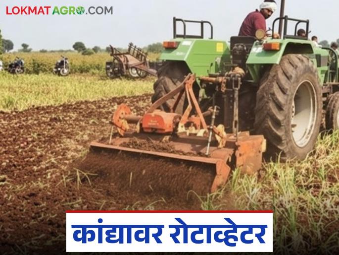 Latest News agriculture News Farmer rotates rotavator over four acres of onions, read in detail | नंदुरबारच्या शेतकऱ्याने चार एकरातील कांद्यावर फिरवला रोटाव्हेटर, वाचा सविस्तर 