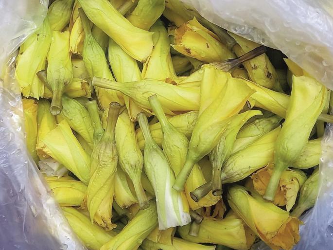 A sudden rush to buy Kanhari flowers; Offerings to the Shivlinga on the last day of the Adhik Mas | अधिक मासाच्या अखेरच्या दिवशी अचानक कण्हेरीच्या फूल खरेदीसाठी गर्दी A sudden rush to buy Kanhari flowers; Offerings to the Shivlinga on the last day of the Adhik Mas | अधिक मासाच्या अखेरच्या दिवशी अचानक कण्हेरीच्या फूल खरेदीसाठी गर्दी