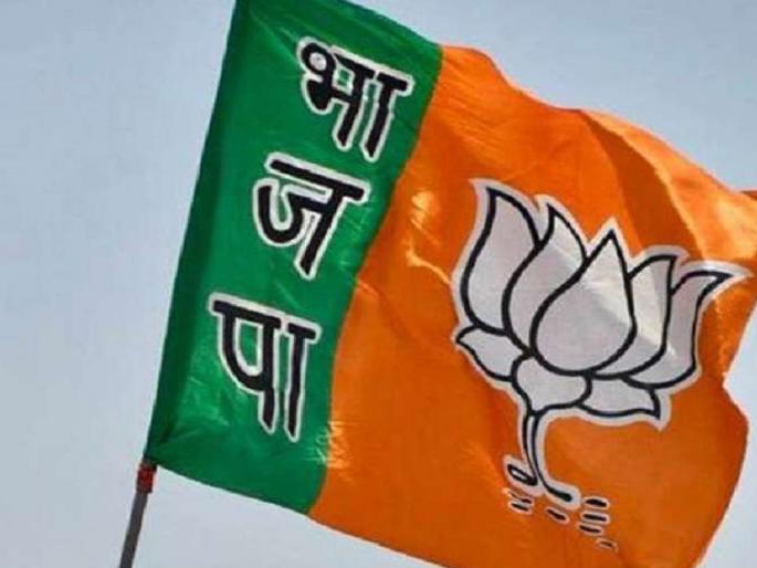 BJP wins Gram Panchayat by election in Kankavli taluka | कणकवली तालुक्यातील ग्रामपंचायत पोटनिवडणुकीत भाजपची बाजी BJP wins Gram Panchayat by election in Kankavli taluka | कणकवली तालुक्यातील ग्रामपंचायत पोटनिवडणुकीत भाजपची बाजी