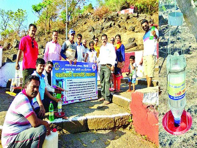 Panepoi center at the mountain range of Kanakeshwar; Convenience for birds and animals | कनकेश्वरच्या पर्वतराजीत पाणपोई केंद्र; कडकउन्हात पक्षी-प्राण्यांसाठी झाली सोय Panepoi center at the mountain range of Kanakeshwar; Convenience for birds and animals | कनकेश्वरच्या पर्वतराजीत पाणपोई केंद्र; कडकउन्हात पक्षी-प्राण्यांसाठी झाली सोय