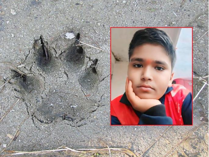 Shocking! Boy who went to ashram for satsang dies in leopard attack, incident in Kannada taluka | आश्रमाच्या बाहेर पडताच १५ वर्षीय मुलावर बिबट्याचा हल्ला, नदीत आढळला मृतदेह Shocking! Boy who went to ashram for satsang dies in leopard attack, incident in Kannada taluka | आश्रमाच्या बाहेर पडताच १५ वर्षीय मुलावर बिबट्याचा हल्ला, नदीत आढळला मृतदेह
