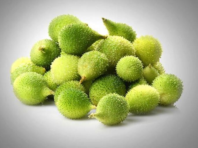 kantola kartul or spine gourd is extremally beneficial for health cures blood pressure and diabetes | पावसाळ्यात मिळणारी ही काटेरी भाजी म्हणजे डायबिटीस अन् ब्लड प्रेशरवर रामबाण kantola kartul or spine gourd is extremally beneficial for health cures blood pressure and diabetes | पावसाळ्यात मिळणारी ही काटेरी भाजी म्हणजे डायबिटीस अन् ब्लड प्रेशरवर रामबाण