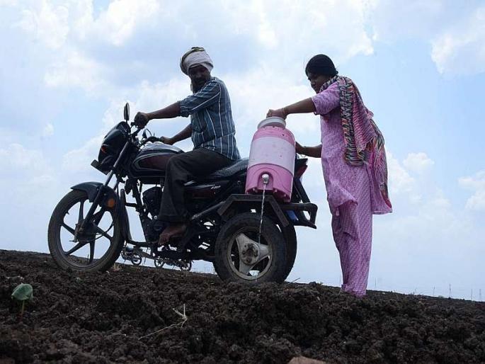 These rays are rainy .... farmer spread water on crops of cotton in farm of amravati | तू ये रे पावसा... कपाशीच्या बुडाशी चक्क अ‍ॅक्वाचं पाणी देतोय बळीराजा 