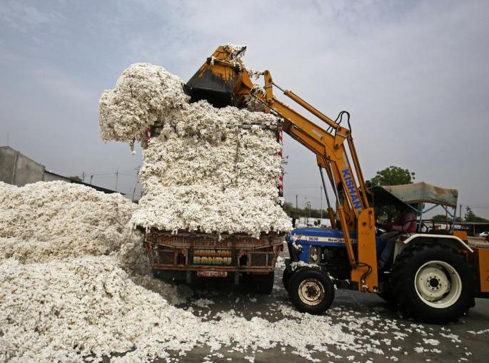 CCI cotton procurement scam finally probed by CGM | ‘सीसीआय’ कापूस खरेदी घोटाळ्याची अखेर ‘सीजीएम’मार्फत चौकशी