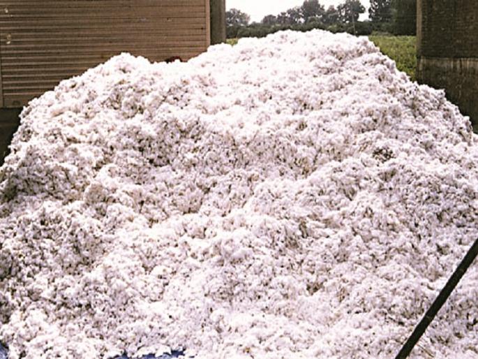 Differences in measurements at cotton shopping centers; The farmer lodged a complaint with the police | कापूस खरेदी केंद्रावर मापात तफावत; शेतकऱ्याची पोलिसांत तक्रार