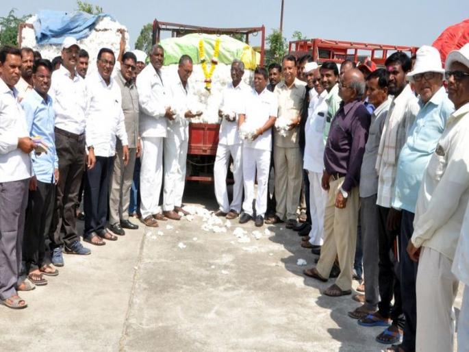 Cotton price of cotton at Rs 5,868 | शुभारंभालाच कापसाला 5,868 रुपये भाव Cotton price of cotton at Rs 5,868 | शुभारंभालाच कापसाला 5,868 रुपये भाव