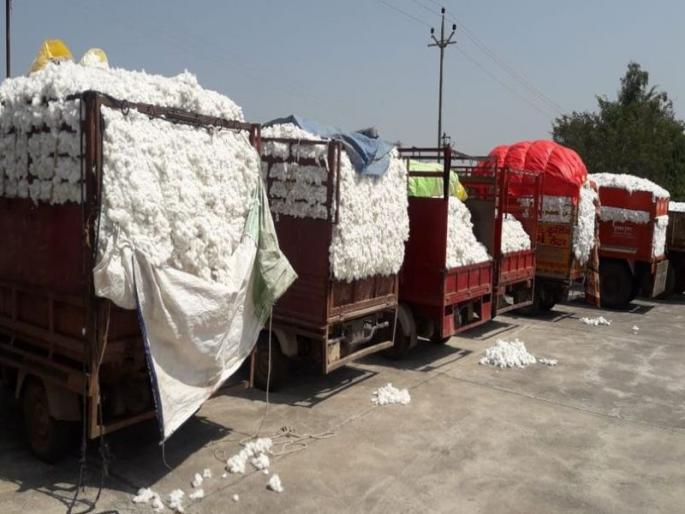 Buy 900 quintals of cotton in 10 days at the center | पळाशी केंद्रात 10 दिवसात 900 क्विंटल कापूस खरेदी Buy 900 quintals of cotton in 10 days at the center | पळाशी केंद्रात 10 दिवसात 900 क्विंटल कापूस खरेदी