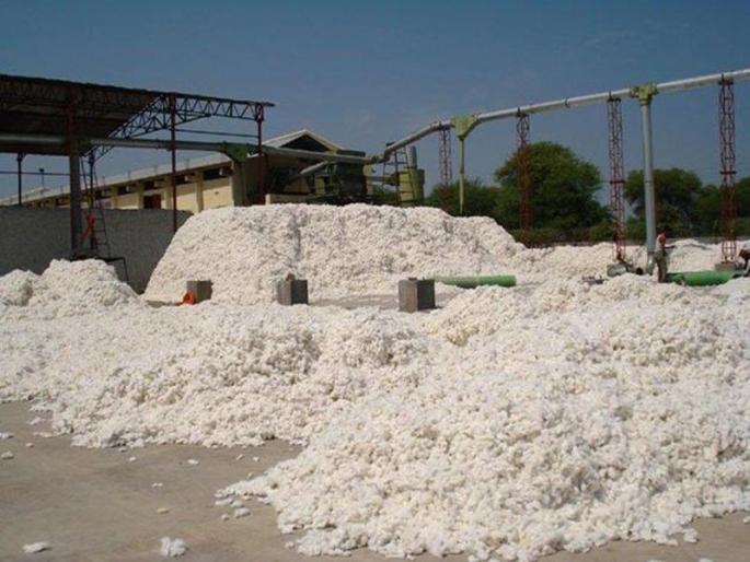 'Sankrut' on the field of congenial jining industries | खान्देशातील जिनींग उद्योगांवर ‘संक्रात’ 'Sankrut' on the field of congenial jining industries | खान्देशातील जिनींग उद्योगांवर ‘संक्रात’