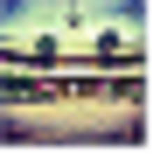 The notice of the Chief of the Attorneys is unmistakable | मुख्याधिकाऱ्यांच्या नोटिसीने उचा‘पती’ खोर अस्वस्थ The notice of the Chief of the Attorneys is unmistakable | मुख्याधिकाऱ्यांच्या नोटिसीने उचा‘पती’ खोर अस्वस्थ