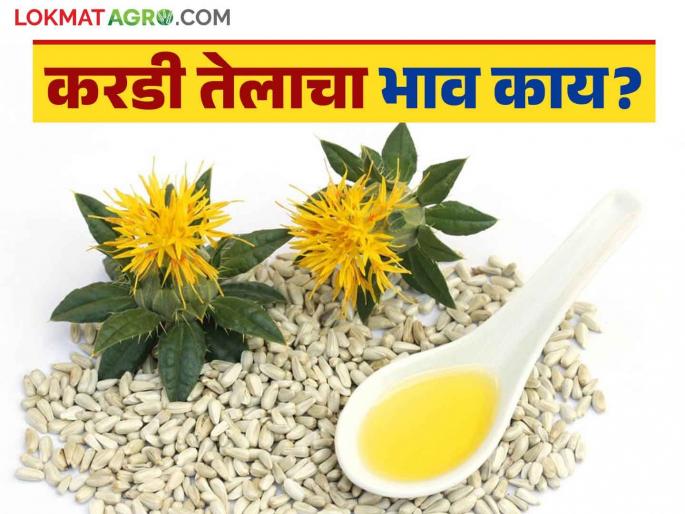 Safflower Oil Market : Will safflower oil be cheaper or more expensive? Read in detail | Safflower Oil Market : करडीचे तेल स्वस्त होणार की महाग ? वाचा सविस्तर Safflower Oil Market : Will safflower oil be cheaper or more expensive? Read in detail | Safflower Oil Market : करडीचे तेल स्वस्त होणार की महाग ? वाचा सविस्तर