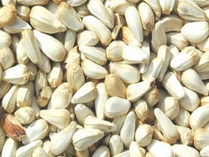 Aurangabad market in old tur dal recession; Grow the safflower oil | औरंगाबाद बाजारपेठेत जुनी तूर डाळ मंदीत; करडी तेल तेजीत Aurangabad market in old tur dal recession; Grow the safflower oil | औरंगाबाद बाजारपेठेत जुनी तूर डाळ मंदीत; करडी तेल तेजीत