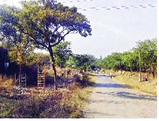 An oxygen zone: Plantation in seventy five acres | कºहाड बनतंय आॅक्सिजन झोन : पंच्याहत्तर एकर क्षेत्रात वृक्षारोपण An oxygen zone: Plantation in seventy five acres | कºहाड बनतंय आॅक्सिजन झोन : पंच्याहत्तर एकर क्षेत्रात वृक्षारोपण