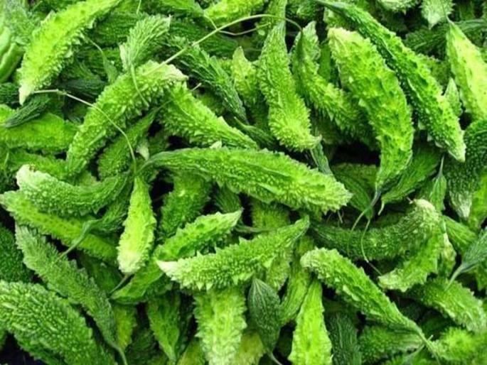 Not only health but karela is also beneficial for skin | फक्त आरोग्यासाठीच नाही तर सौंदर्यासाठीही फायदेशीर ठरतं कारलं!
