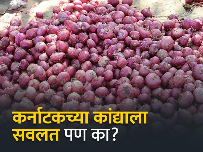 Why is the discount on the export duty of Karnataka onion given? find out | कर्नाटकी कांद्याच्या निर्यात शुल्कावर सवलत का दिली आहे ? जाणून घ्या Why is the discount on the export duty of Karnataka onion given? find out | कर्नाटकी कांद्याच्या निर्यात शुल्कावर सवलत का दिली आहे ? जाणून घ्या