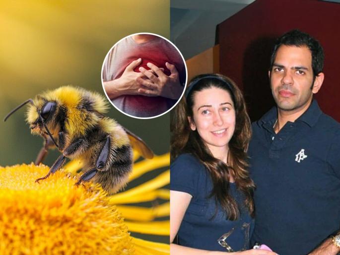 Karisma Kapoor's Ex husband Sunjay Kapoor's Death, 4 things that can happen to the body when a bee stings you | मधमाशीमुळे संजय कपूरने गमावला जीव, डॉक्टर सांगतात मधमाशी चावल्याने शरीरामध्ये होतात ४ बदल