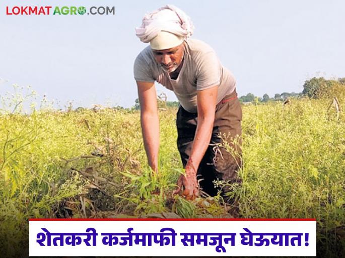 Latest news Shetkari Karjmafi Will farmers get loan waiver, see government GR | शेतकरी कर्जमाफीची नवीन वेळ, काय आहे नेमका जीआर? खरचं कर्जमाफी मिळू शकते का?  Latest news Shetkari Karjmafi Will farmers get loan waiver, see government GR | शेतकरी कर्जमाफीची नवीन वेळ, काय आहे नेमका जीआर? खरचं कर्जमाफी मिळू शकते का?