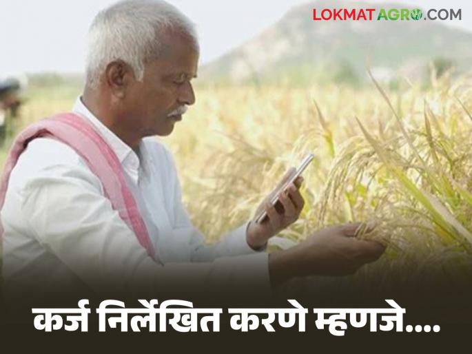 Latest News shetkari Karjmafi What is debt write-off, what is relation with farmer loan waiver | कर्ज निर्लेखित करणे म्हणजे काय, शेतकरी कर्जमाफीशी याचा काय संबंध आहे, वाचा सविस्तर Latest News shetkari Karjmafi What is debt write-off, what is relation with farmer loan waiver | कर्ज निर्लेखित करणे म्हणजे काय, शेतकरी कर्जमाफीशी याचा काय संबंध आहे, वाचा सविस्तर