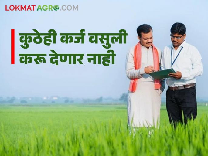 latest News Agriculture News Do not recover loans, Chief Minister's order, farmers' organization's nivedan to ndcc bank | कर्ज वसुली करू नका, मुख्यमंत्र्यांचे आदेश, शेतकरी संघटनेचे जिल्हा बँकेला निवेदन latest News Agriculture News Do not recover loans, Chief Minister's order, farmers' organization's nivedan to ndcc bank | कर्ज वसुली करू नका, मुख्यमंत्र्यांचे आदेश, शेतकरी संघटनेचे जिल्हा बँकेला निवेदन