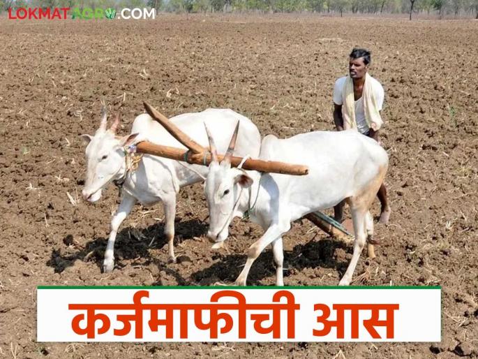 Expectations of farmers' loan waiver directly affected crop loan disbursement; Read in detail | शेतकऱ्यांच्या कर्जमाफीच्या अपेक्षेने थेट पीक कर्ज वितरणावर झाला परिणाम; वाचा सविस्तर