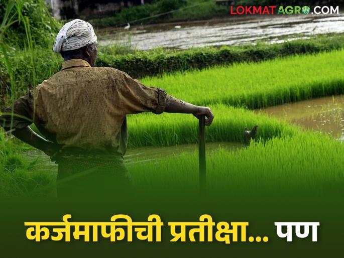 latest news Crop Loan: Farmers' dilemma due to 'NPA' accounts! Loan waiver uncertain, how to get new loans? | Crop Loan : 'एनपीए' खात्यांमुळे शेतकऱ्यांची कोंडी! कर्जमाफी अनिश्चित, नवे कर्ज कसे मिळणार?