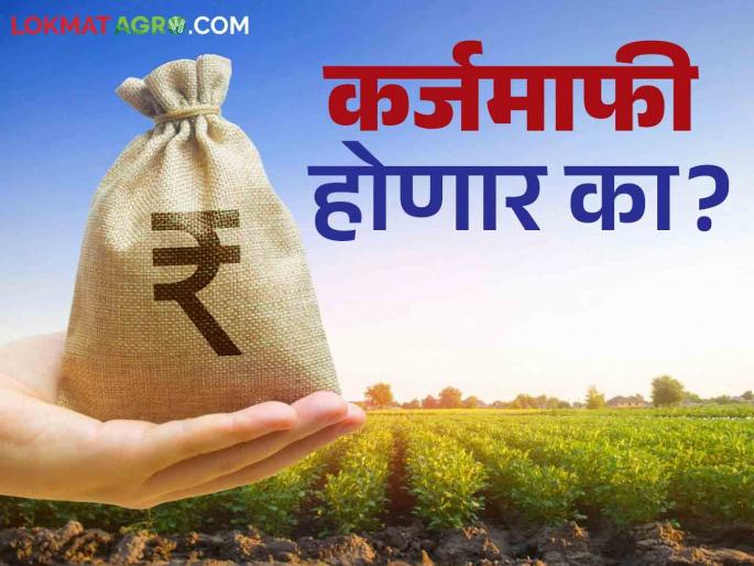 Pik Karj Mafi : Low response to pay crop loans; Will there be a loan waiver? Read in detail | Pik Karj Mafi : पीक कर्ज भरण्यासाठी अल्प प्रतिसाद; कर्जमाफी होणार का? वाचा सविस्तर Pik Karj Mafi : Low response to pay crop loans; Will there be a loan waiver? Read in detail | Pik Karj Mafi : पीक कर्ज भरण्यासाठी अल्प प्रतिसाद; कर्जमाफी होणार का? वाचा सविस्तर