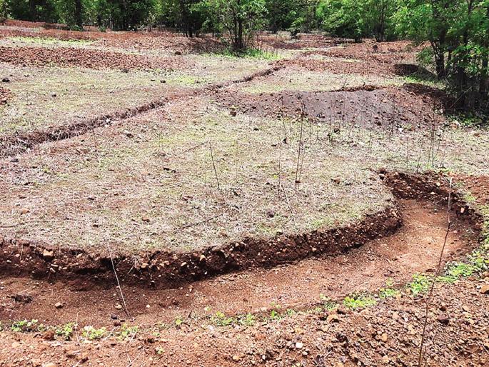 Work from the water tank of Shivaji in ten villages of Karjat | कर्जतमधील दहा गावांत जलयुक्त शिवारमधून कामे Work from the water tank of Shivaji in ten villages of Karjat | कर्जतमधील दहा गावांत जलयुक्त शिवारमधून कामे