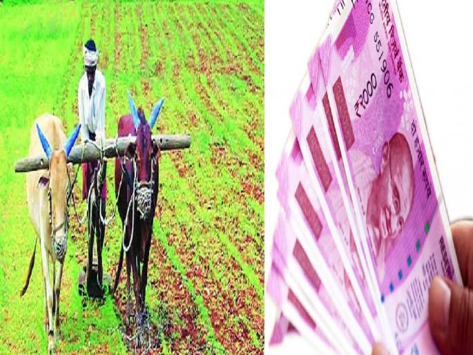 33,000 farmers of Land Development Bank in the state will be debt free | राज्यातील भूविकास बँकेचे ३३ हजार शेतकरी कर्जमुक्त होणार, कर्मचाऱ्यांचा वनवासही संपणार 33,000 farmers of Land Development Bank in the state will be debt free | राज्यातील भूविकास बँकेचे ३३ हजार शेतकरी कर्जमुक्त होणार, कर्मचाऱ्यांचा वनवासही संपणार