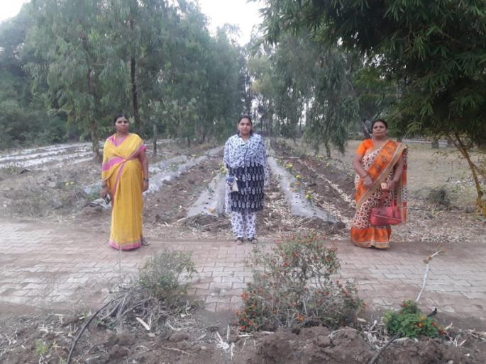 Karmala Nagarparishad flushed out of the glass area | करमाळा नगरपरिषदेने कचºयातून फुलविली बाग Karmala Nagarparishad flushed out of the glass area | करमाळा नगरपरिषदेने कचºयातून फुलविली बाग