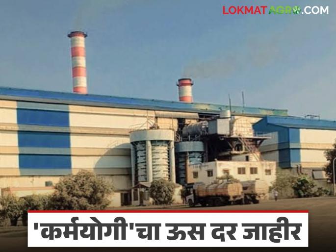 Karmayogi Cooperative Sugar Factory announces this year's sugarcane price; How much will be given for the first harvest? | कर्मयोगी सहकारी साखर कारखान्याकडून यंदाचा ऊस दर जाहीर; पहिली उचल किती देणार? Karmayogi Cooperative Sugar Factory announces this year's sugarcane price; How much will be given for the first harvest? | कर्मयोगी सहकारी साखर कारखान्याकडून यंदाचा ऊस दर जाहीर; पहिली उचल किती देणार?