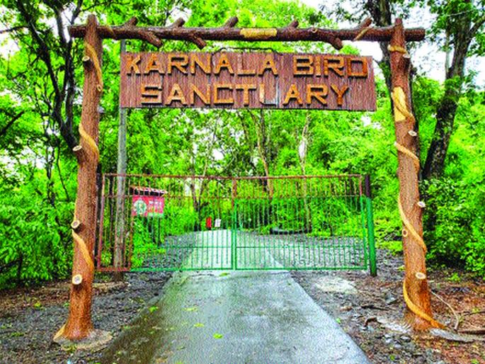Nature tourism in Karnala is preferred by tourists | कर्नाळ्यातील निसर्ग पर्यटनाला पर्यटकांची पसंती Nature tourism in Karnala is preferred by tourists | कर्नाळ्यातील निसर्ग पर्यटनाला पर्यटकांची पसंती