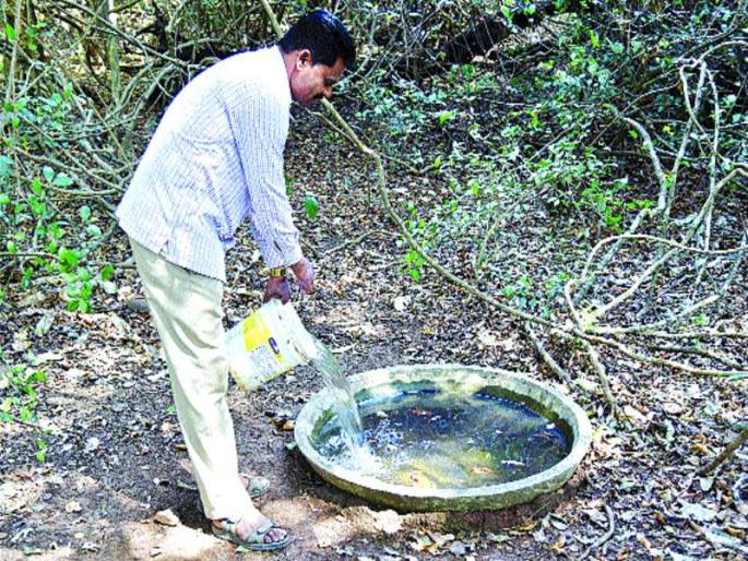 Abundant reserves in the watershed of Karnala Sanctuary | कर्नाळा अभयारण्यातील पाणवठ्यात मुबलक साठा