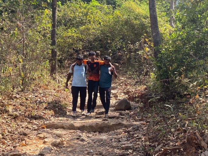 bees attack tourists in karnala sanctuary one dead | कर्नाळा अभयारण्यात पर्यटकांवर मधमाशांचा हल्ला; एकाच मृत्यू