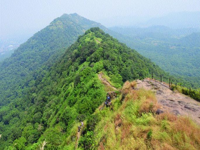 Karnala Sanctuary reopens for tourist after seven months | कर्नाळा अभयारण्य सात महिन्यांनंतर पर्यटकांसाठी खुले Karnala Sanctuary reopens for tourist after seven months | कर्नाळा अभयारण्य सात महिन्यांनंतर पर्यटकांसाठी खुले