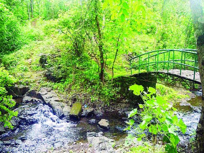 Birds in Karnala Wildlife Sanctuary | कर्नाळा अभयारण्यातील पक्षी, प्राण्यांच्या संख्येत वाढ Birds in Karnala Wildlife Sanctuary | कर्नाळा अभयारण्यातील पक्षी, प्राण्यांच्या संख्येत वाढ
