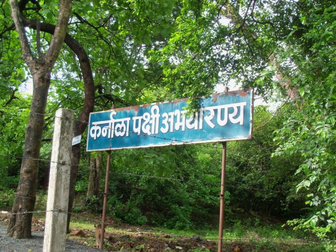Tourists' trip to Karnala Wildlife Sanctuary | कर्नाळा अभयारण्यात पर्यटकांचा ओघ Tourists' trip to Karnala Wildlife Sanctuary | कर्नाळा अभयारण्यात पर्यटकांचा ओघ