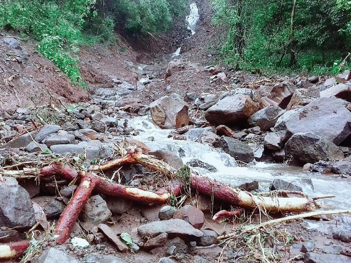 No entry for tourists in Karnala Sanctuary | कर्नाळा अभयारण्यात पर्यटकांना ‘नो एंट्री’ No entry for tourists in Karnala Sanctuary | कर्नाळा अभयारण्यात पर्यटकांना ‘नो एंट्री’