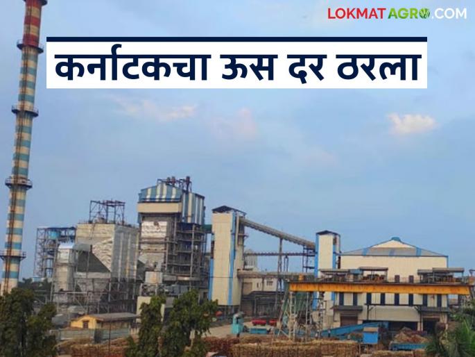 Farmers celebrate in Gurlapur; Karnataka government announces sugarcane price, what was the final price? | गुरलापूर येथे शेतकऱ्यांचा जल्लोष; कर्नाटक सरकारने केली ऊस दराची घोषणा, अखेर किती दिला दर?