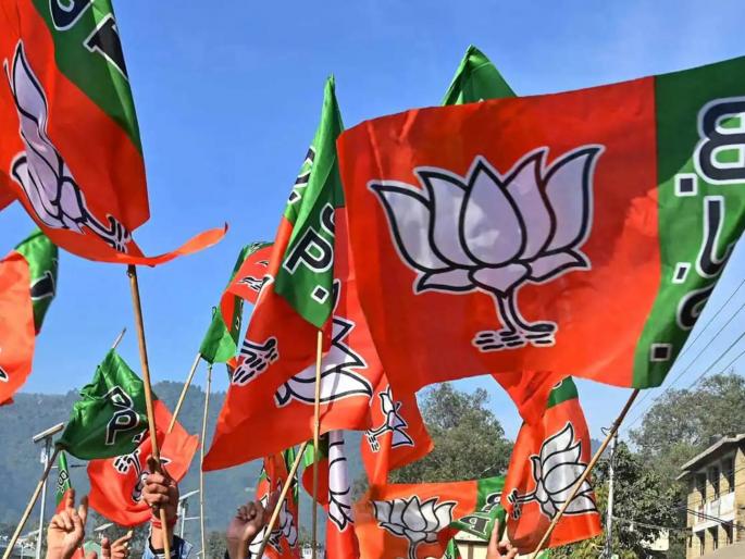 loksabha election BJP announces 20 candidates from Karnataka, includes many big names; Read the detailed list | भाजपकडून कर्नाटकातील २० उमेदवारांची घोषणा, अनेक दिग्गज नावांचा समावेश; वाचा सविस्तर यादी loksabha election BJP announces 20 candidates from Karnataka, includes many big names; Read the detailed list | भाजपकडून कर्नाटकातील २० उमेदवारांची घोषणा, अनेक दिग्गज नावांचा समावेश; वाचा सविस्तर यादी