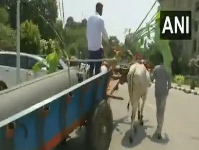 Karnataka: Congress MLA ravi ganiga reached the Legislative Assembly on a bullock cart, video goes viral | Karnataka: चक्क बैलगाडीवरून विधानसभेत पोहोचले काँग्रेस आमदार, व्हिडीओ व्हायरल Karnataka: Congress MLA ravi ganiga reached the Legislative Assembly on a bullock cart, video goes viral | Karnataka: चक्क बैलगाडीवरून विधानसभेत पोहोचले काँग्रेस आमदार, व्हिडीओ व्हायरल
