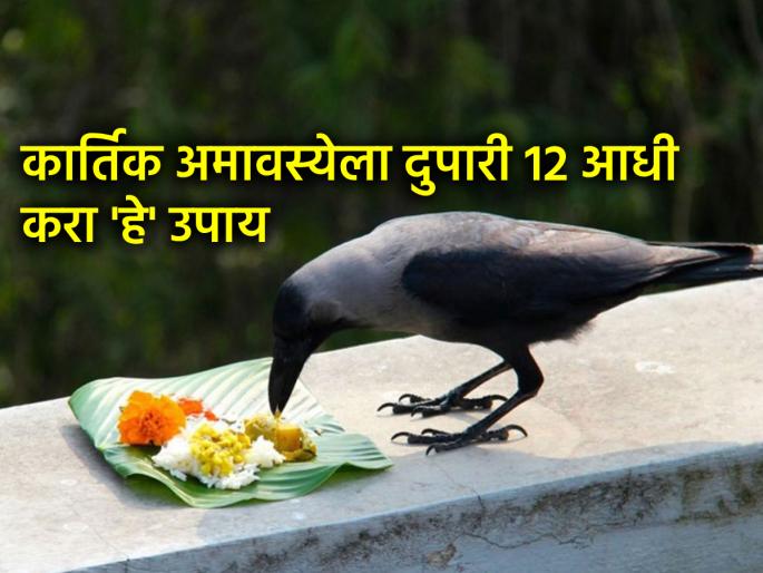 Kartik Amavasya 2025: Do 'this' remedy on Thursday, Kartik Amavasya, by 12 noon, get benefits! | Kartik Amavasya 2025: गुरुवारी कार्तिक अमावास्येला दुपारी १२ च्या आत 'हे' उपाय करा, लाभ मिळवा!