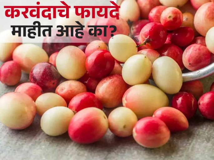Health Benefits of Karonda: Here's How You Can Include It In Your Diet | करवंद खाल्ले तर खूप असतील, पण तुम्हाला याचे फायदे माहीत नसतील! Health Benefits of Karonda: Here's How You Can Include It In Your Diet | करवंद खाल्ले तर खूप असतील, पण तुम्हाला याचे फायदे माहीत नसतील!