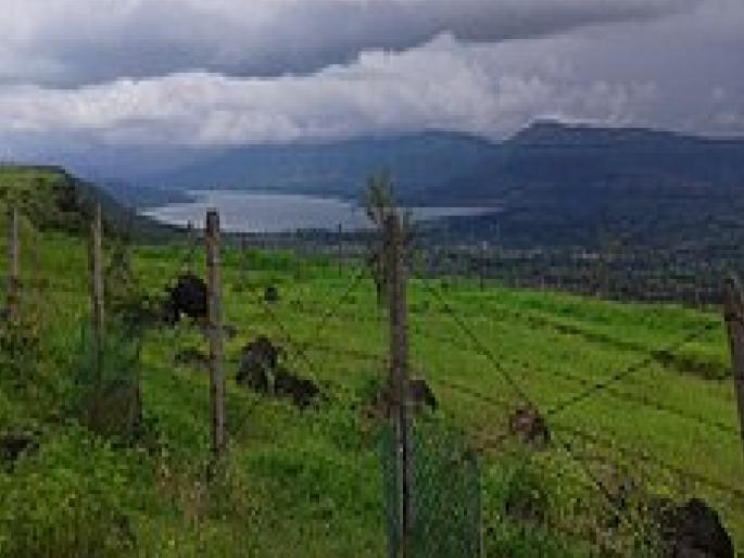 Unauthorized construction on Yavateshwar Kaas Plateau road gets a blow, green court orders submission of new report | यवतेश्वर–कास पठार रस्त्यावरील अनधिकृत बांधकामाला दणका, हरित न्यायालयाचे नवा अहवाल सादर करण्याचे आदेश 