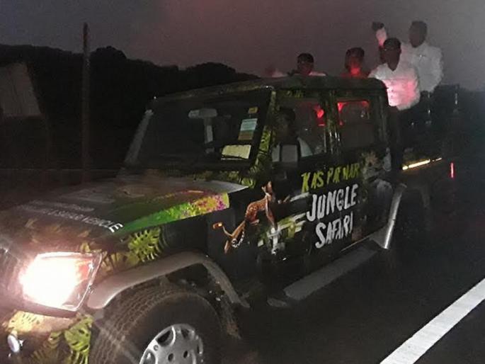 An innovative night jungle safari on the Kaas plateau | Kaas plateau: कास पठारावर नाइट जंगल सफारीचा अभिनव उपक्रम An innovative night jungle safari on the Kaas plateau | Kaas plateau: कास पठारावर नाइट जंगल सफारीचा अभिनव उपक्रम